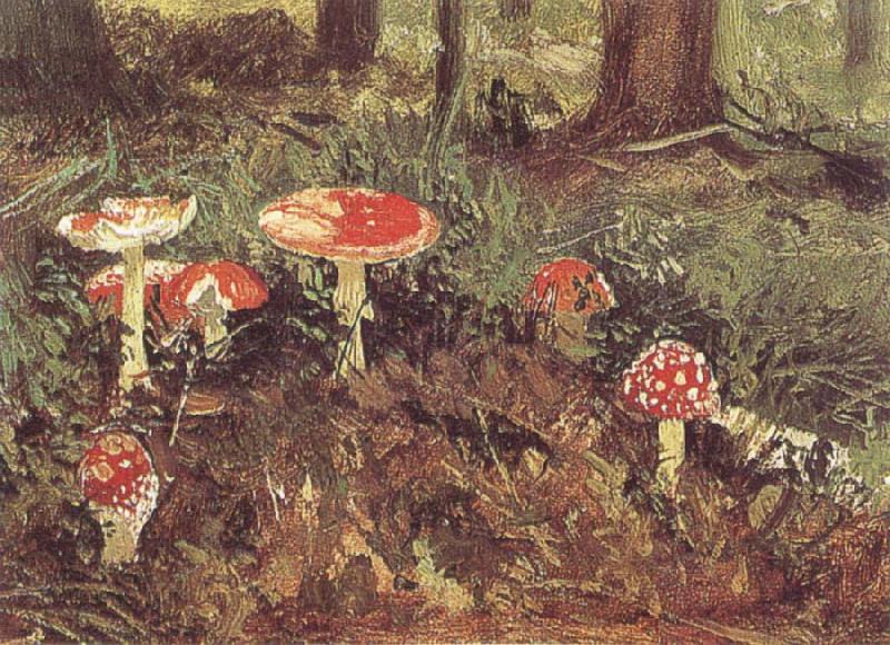 Ivan Shishkin Fly-Agarics,Study